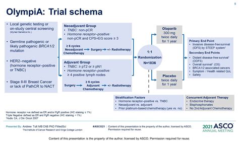 Adjuvant Olaparib for Patients with BRCA1.